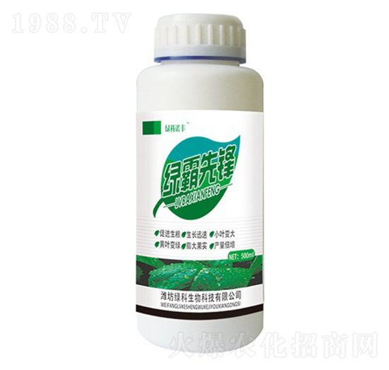 �G�����h-�G���Z�S-�G������