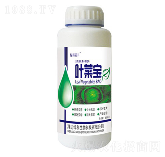 �~�ˌ�-�G���Z�S-�G������