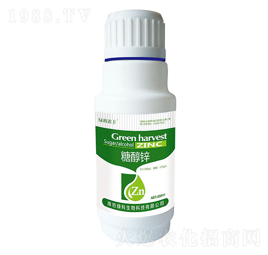 �Ǵ��\-�G���Z�S-�G������