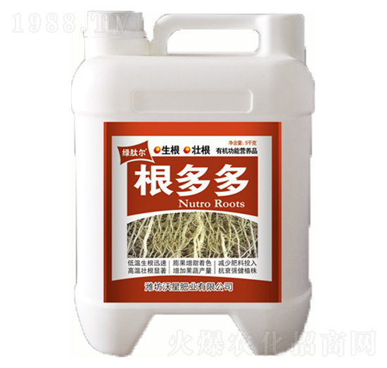 �����-���ǷʘI(y��)