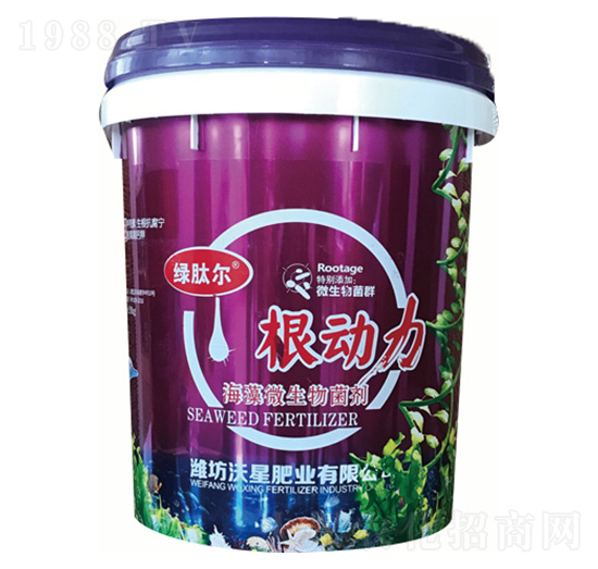 ����΢�������-������-���ǷʘI(y��)