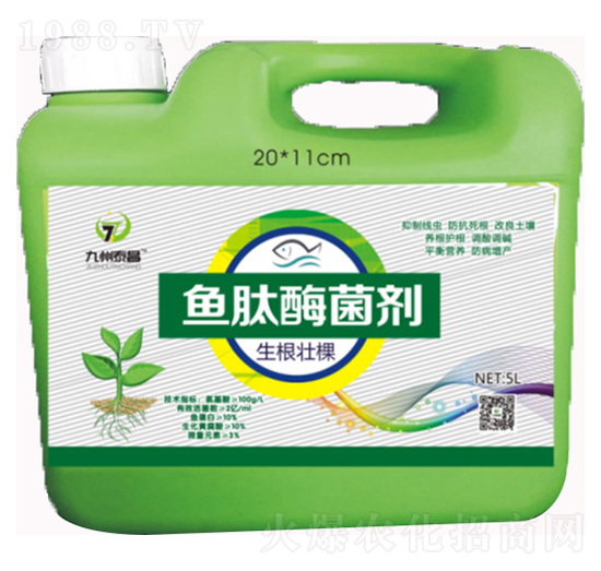 �~�����ѿ���ø����-̩������