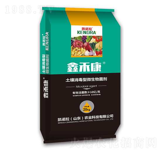 ����������΢�������-�κ̿�-�P�Z��