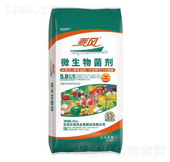 5�|��΢�������-���L(f��ng)����