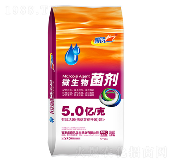 5�|���΢�������-���L(f��ng)����