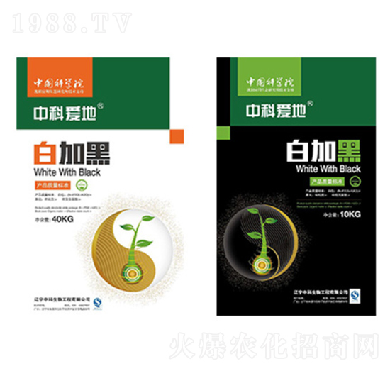 �׼Ӻ�ϵ���ײͷ�-�пƐ۵�-�п�