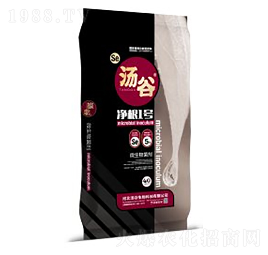 ΢�������-����1̖(h��o)-��������