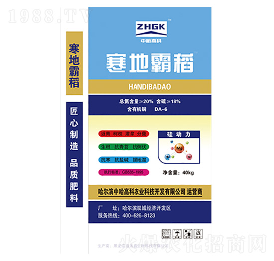 ���ذԵ�-�й��߿�