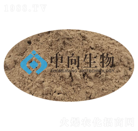 �ЙC(j��)�ʰl(f��)�̈́�-��������