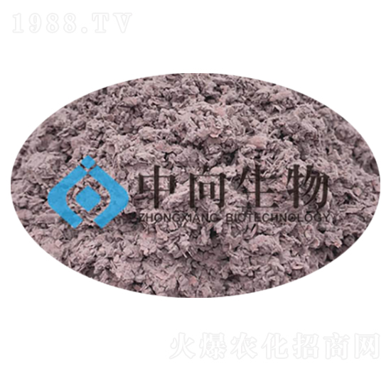 ���ϔM��ù-��������