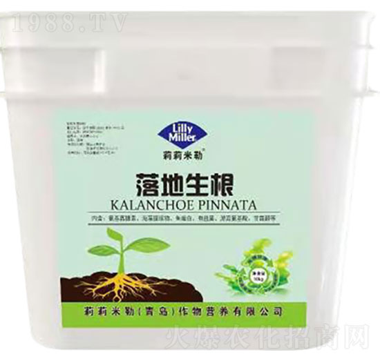 �������-��������