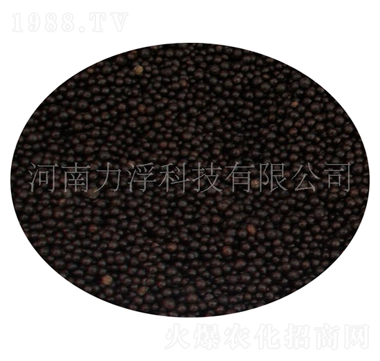 �����-�����Ƽ�