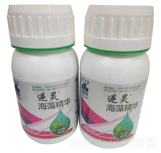 ���徫�A-���`-������