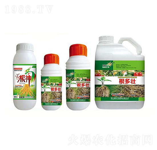 ������+����-���a����