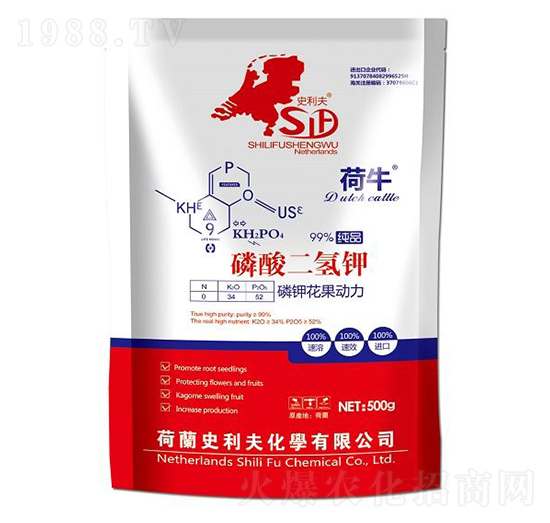 ��������-��⛻�������-ʷ����