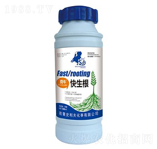 ����������-ʷ����