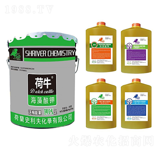 ��������ĺ�һ�ײͷ�-��ţ-ʷ����