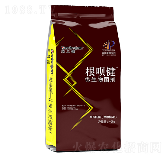 ΢��������ۄ�-���h��-��ؐ��