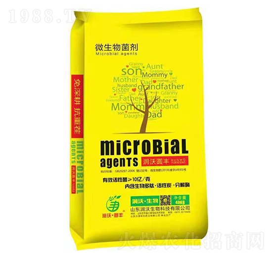 ΢�������-���ֈA�S-��̩����