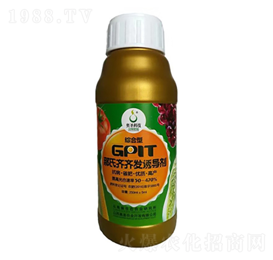 GPlT�����R�R�l(f��)�T��(d��o)��-�Wʥ�r(n��ng)�I(y��)