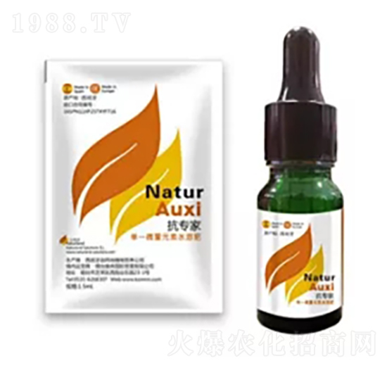 ������-��Ȼ��