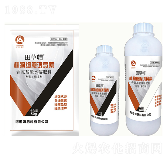 ֲ�：(x��)���T��(d��o)��-���ñ-����ķ