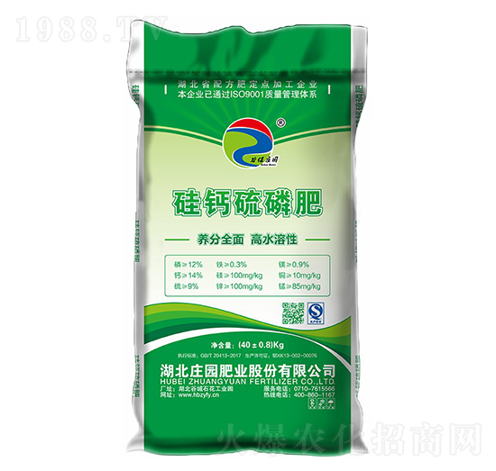 12%�w�����}����-�ȱ��f�@