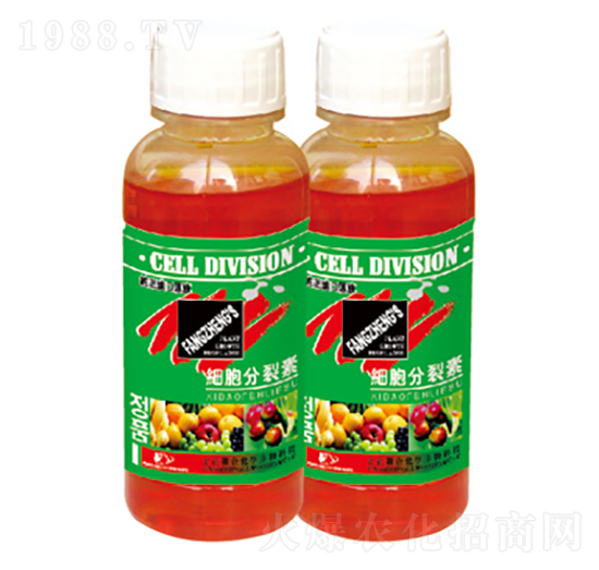 ��(x��)��������-������