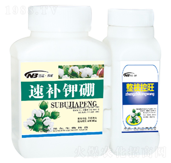 ���a(b��)���+��֦����-������