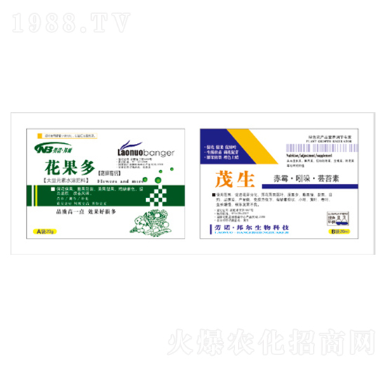 ������+��ù�����ᡤ�|̦��-������