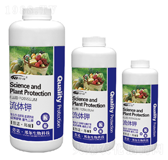 ���w�-������