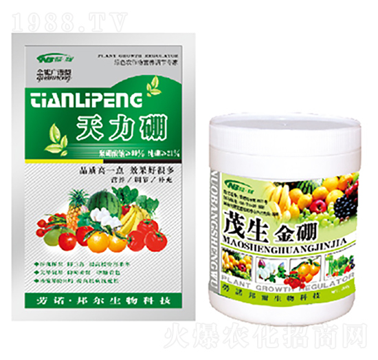 ������+ï������-������