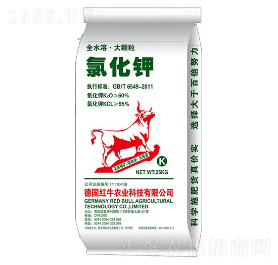 ���w���Ȼ��-�����S