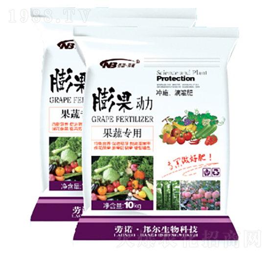 ���ߌ���-�������-������