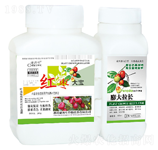 �t����-������