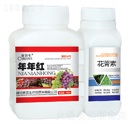 ������ɫ����-����t+������-������