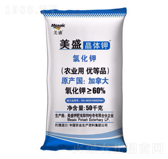 ���w�-��ʢ-����R��