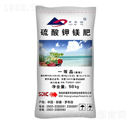 �w��������V-�_����-����R��