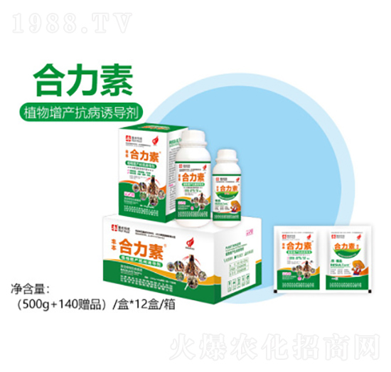 ֲ�����a(ch��n)�����T��(d��o)��-������-�S������