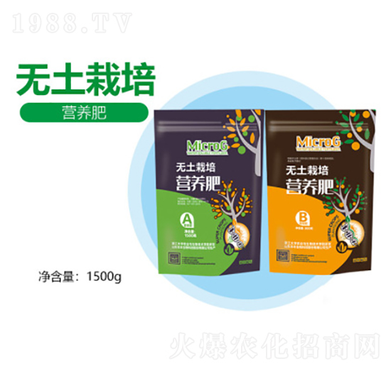 �o������I(y��ng)�B(y��ng)��-�S������