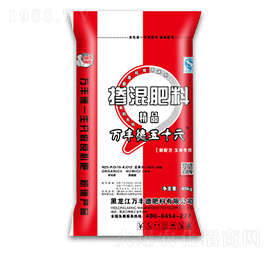 ���׌��Ó������23-10-12-�f(w��n)�S��