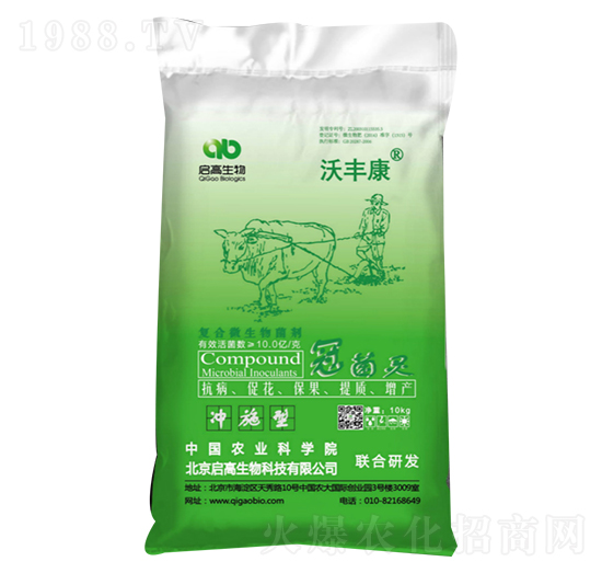 �ھ��`�ͺ�΢�������-���S��-��������