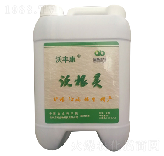 �ָ��`-���S��-��������