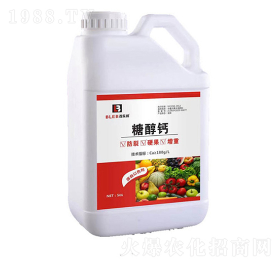 ���Z�S�Ǵ��}-�٘���