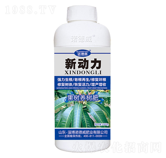 ����(sh��)�B(y��ng)��(sh��)��-��(d��ng)��-�Z����