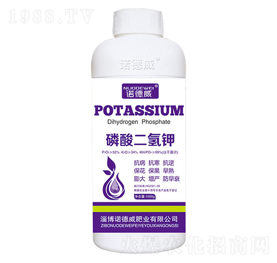 1000g��������-�Z����