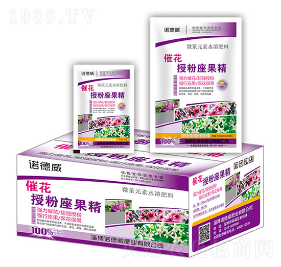 �߻��ڷ����������У�-�Z����