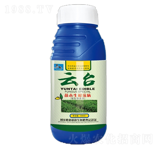 ��ľ��������΢�������-���_