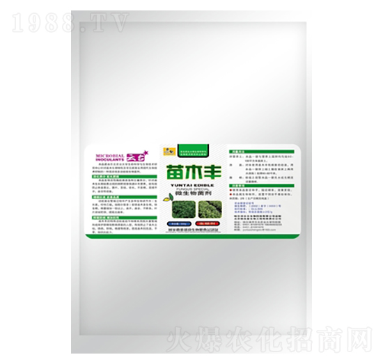 ��ľ�S΢�������-���_