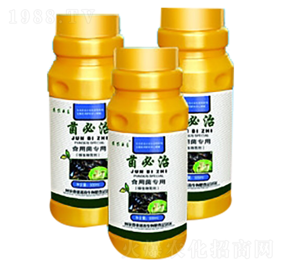 ʳ�þ�����-������-���_(t��i)